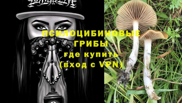 стафф Белоозёрский