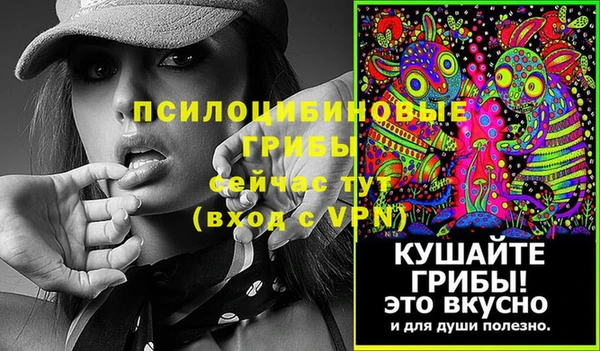 стаф Беломорск