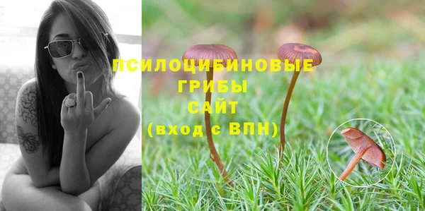 стафф Белоозёрский